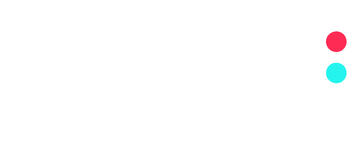 TikTok Partner